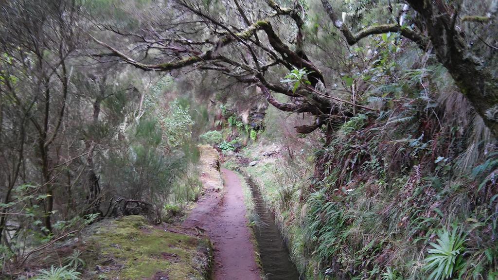 Levada Nova House Villa Ponta do Sol Kültér fotó